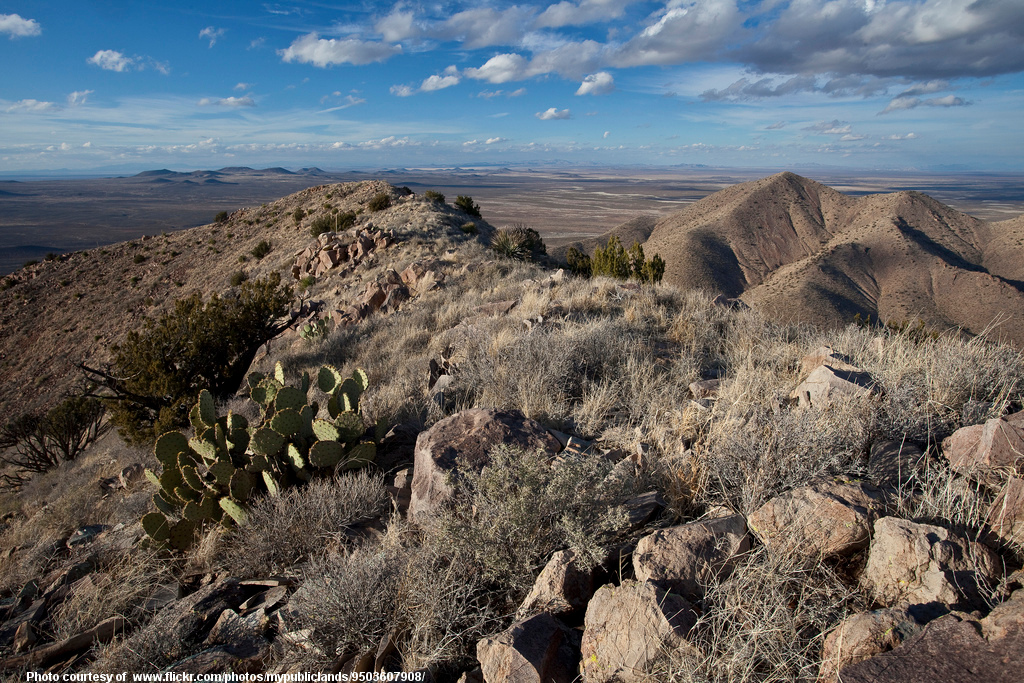 NewMexico-001-071518.jpg