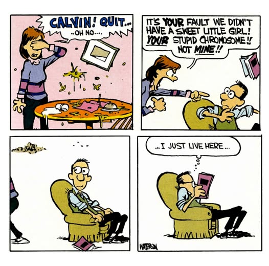 calvin color eh.jpg