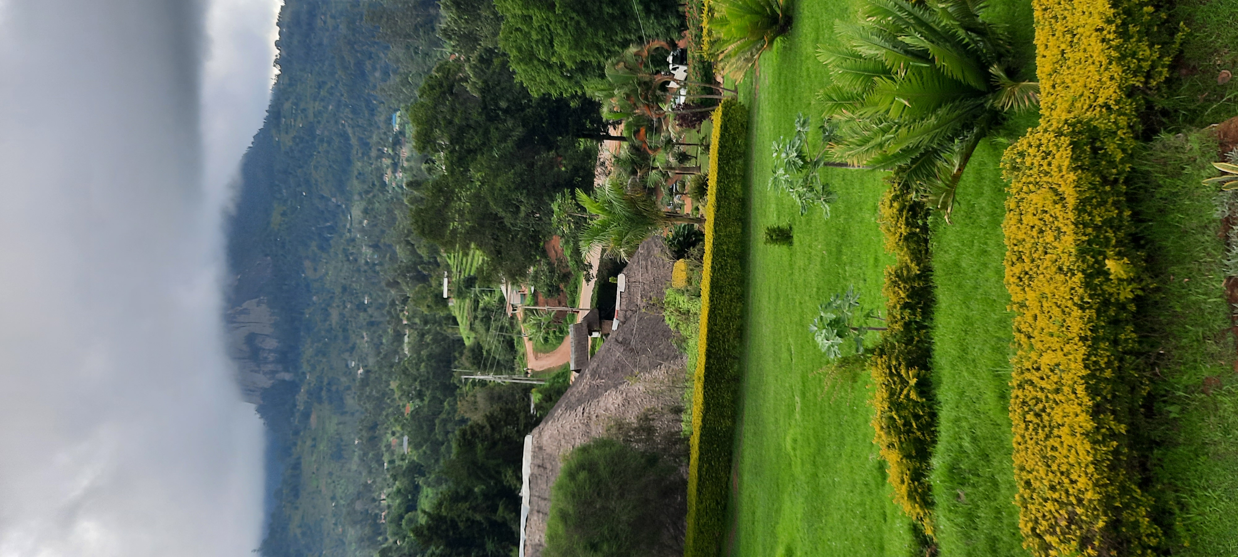 20230424_175358.jpg
