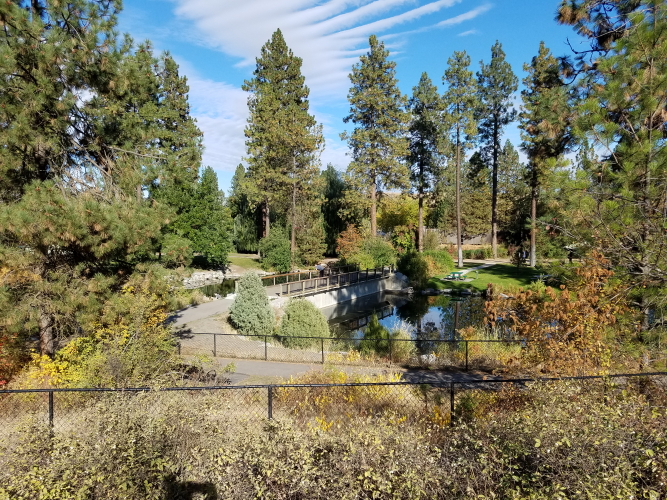 20180928_153743_7.jpg