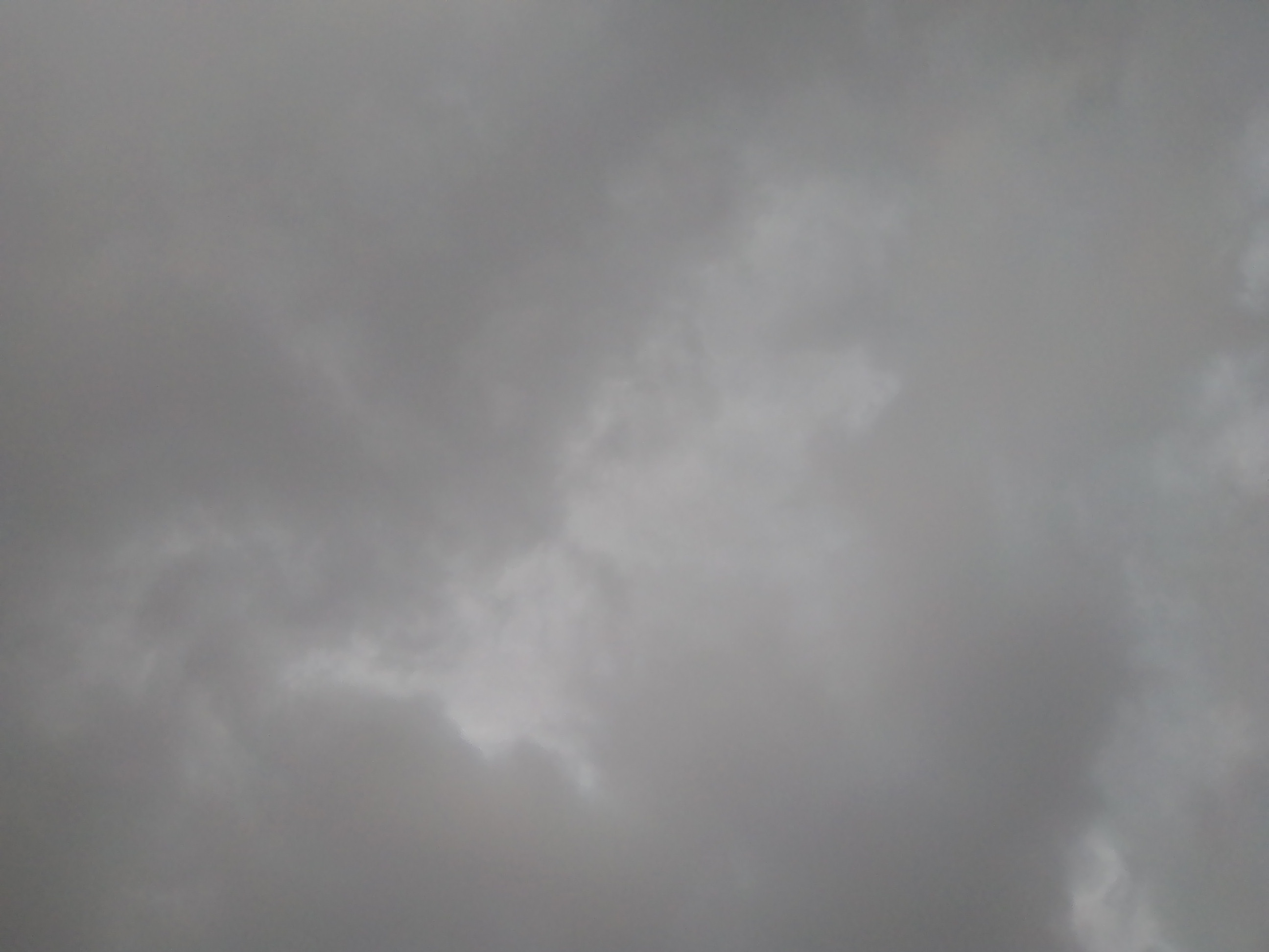 IMG_20210520_162644.jpg