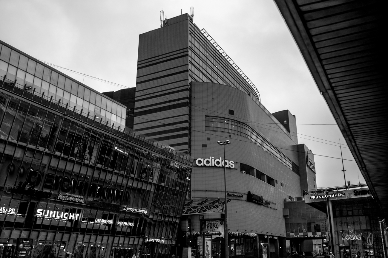 DSC02325.jpg
