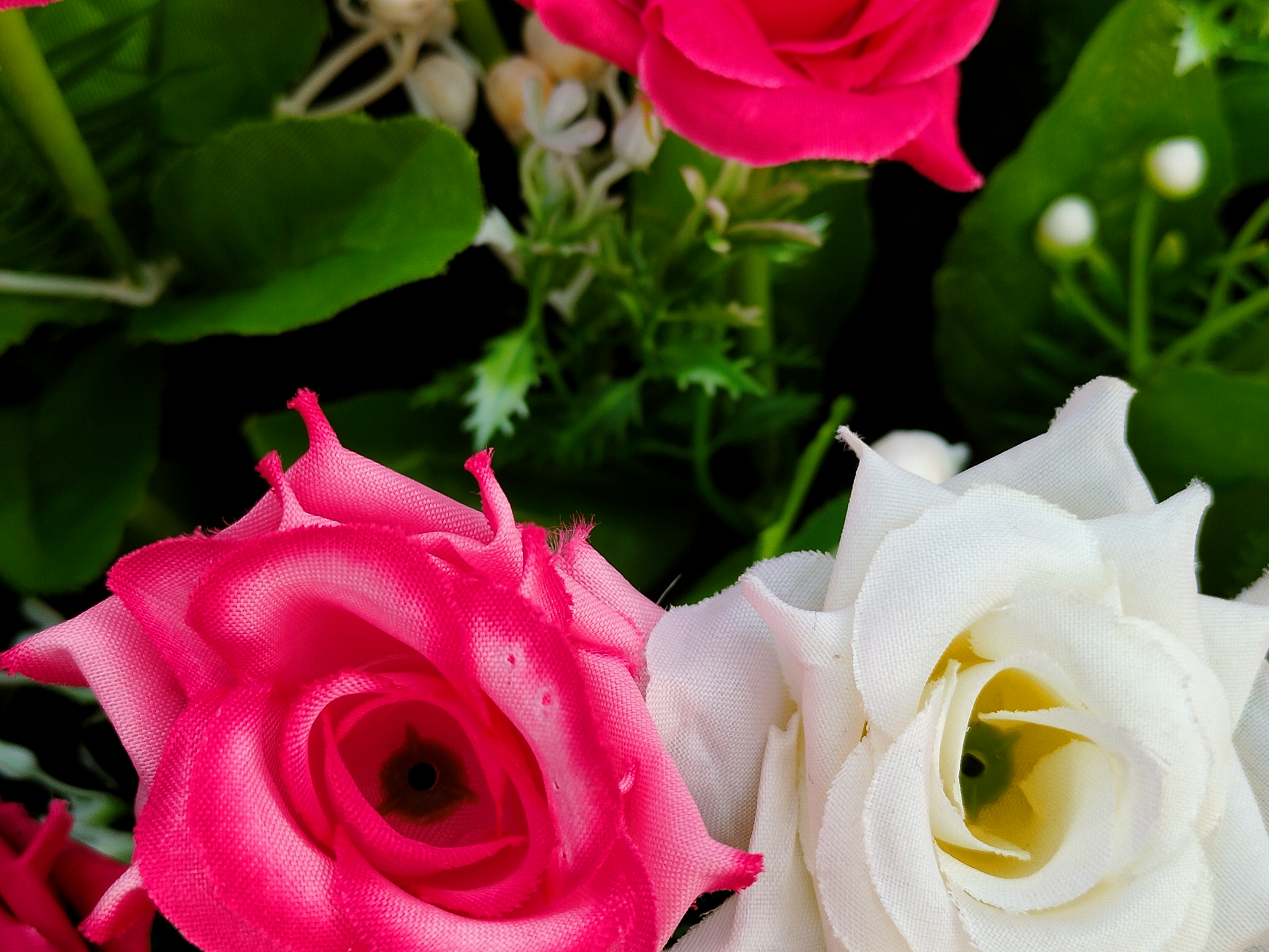 IMG20221017162016.jpg