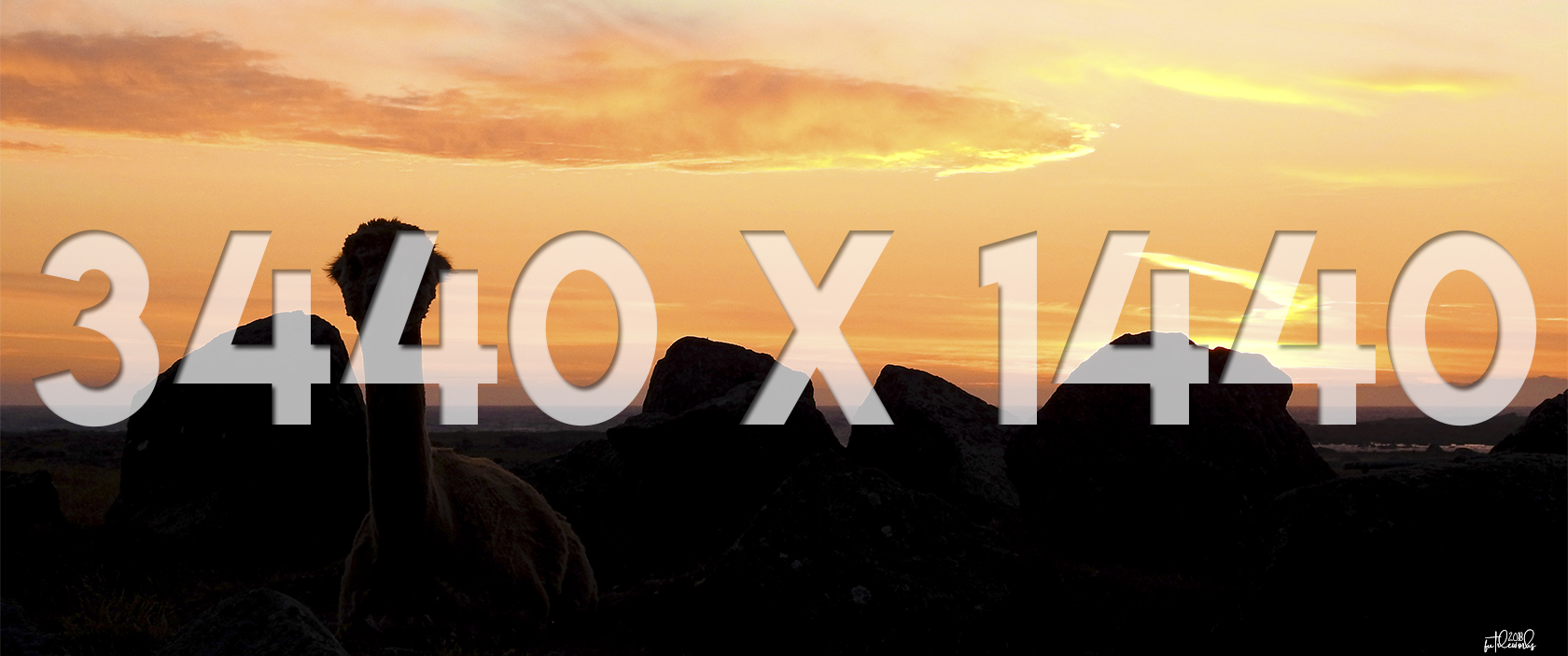 02 3440x1440 Thumbnail Lama at Dusk.jpg