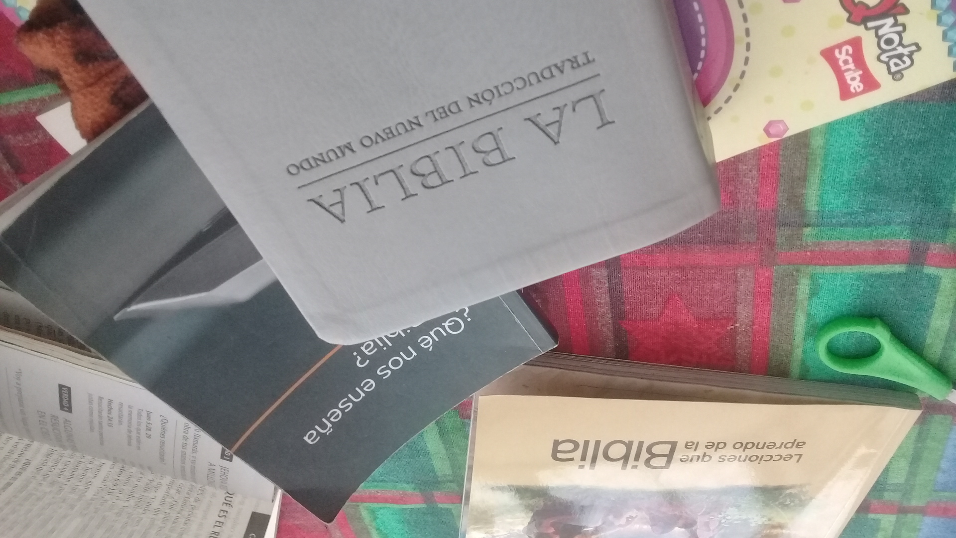 IMG-20210321-WA0041.jpeg