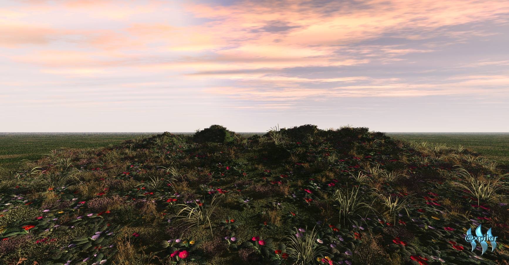 Blomstereng 1 A.jpg
