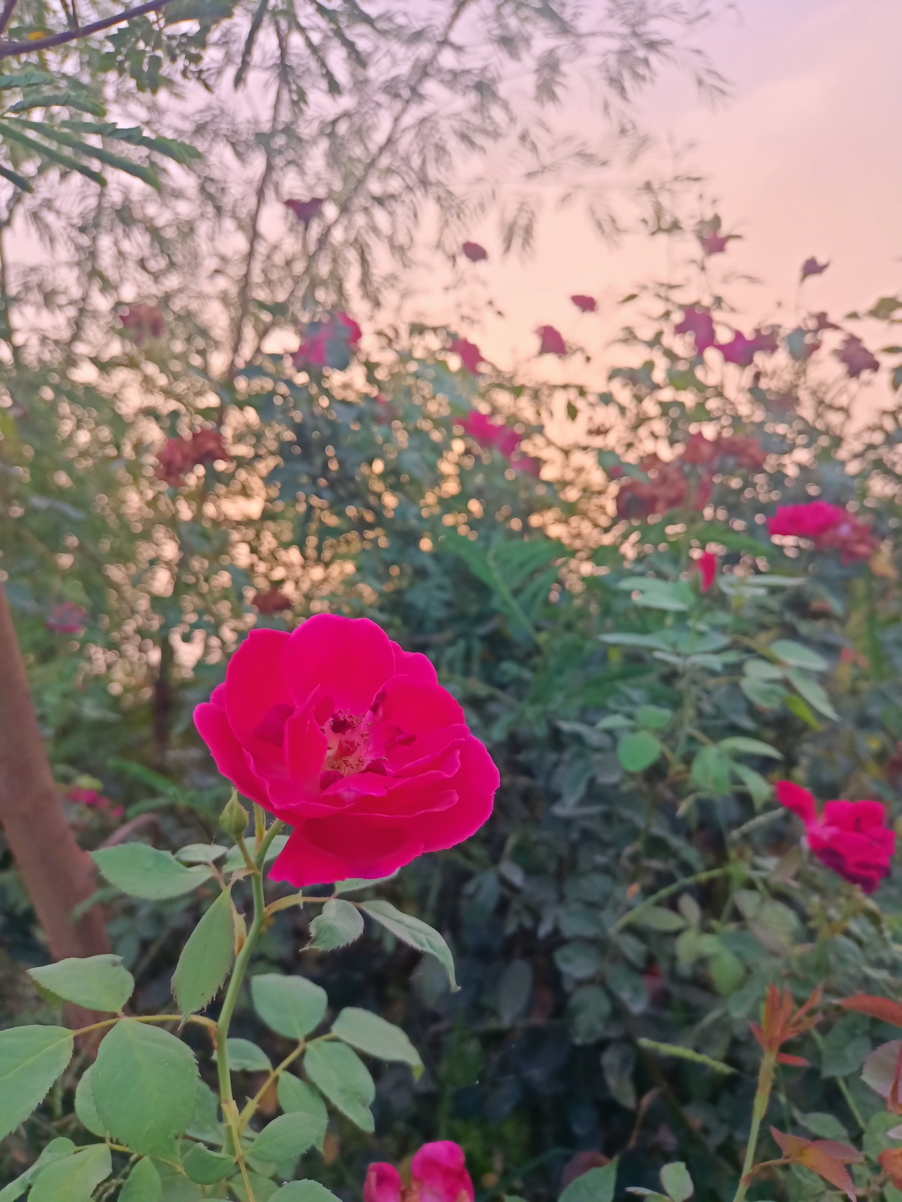 IMG20230815183726.jpg
