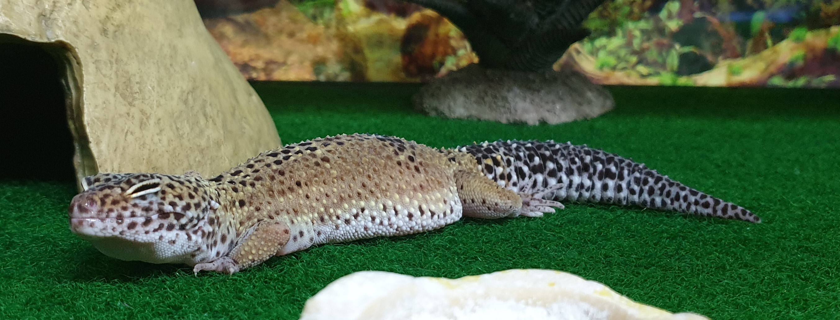 20190417_101433 (2).jpg