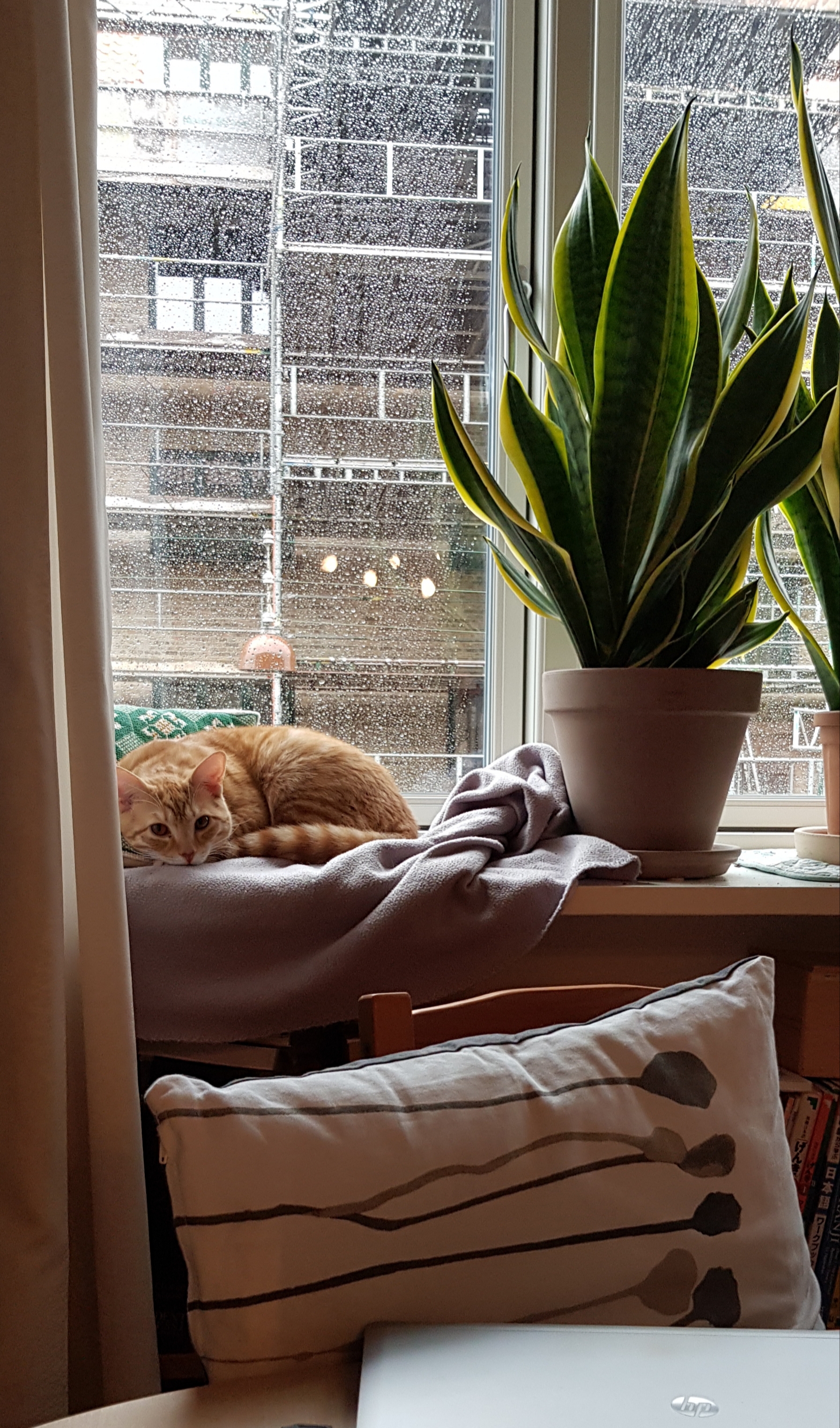 20190315_162901.jpg