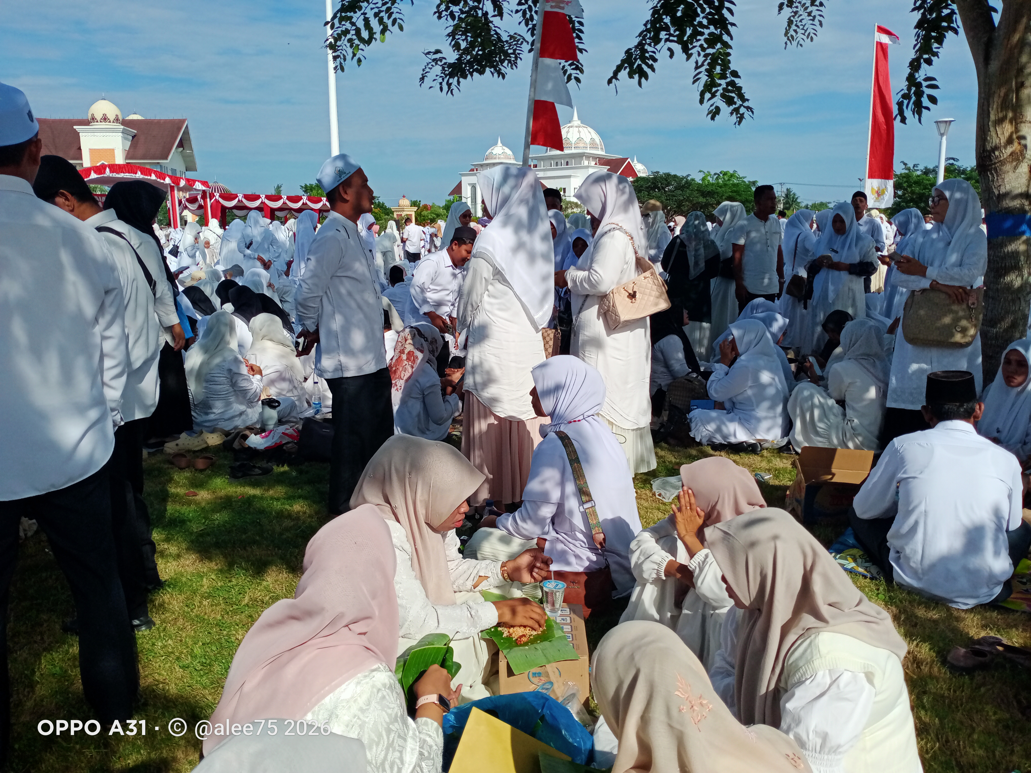 IMG20260815085142.jpg