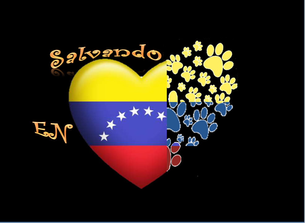 Imagen16.png