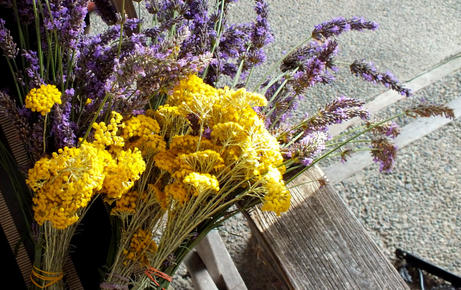 1066-Flowers.jpg