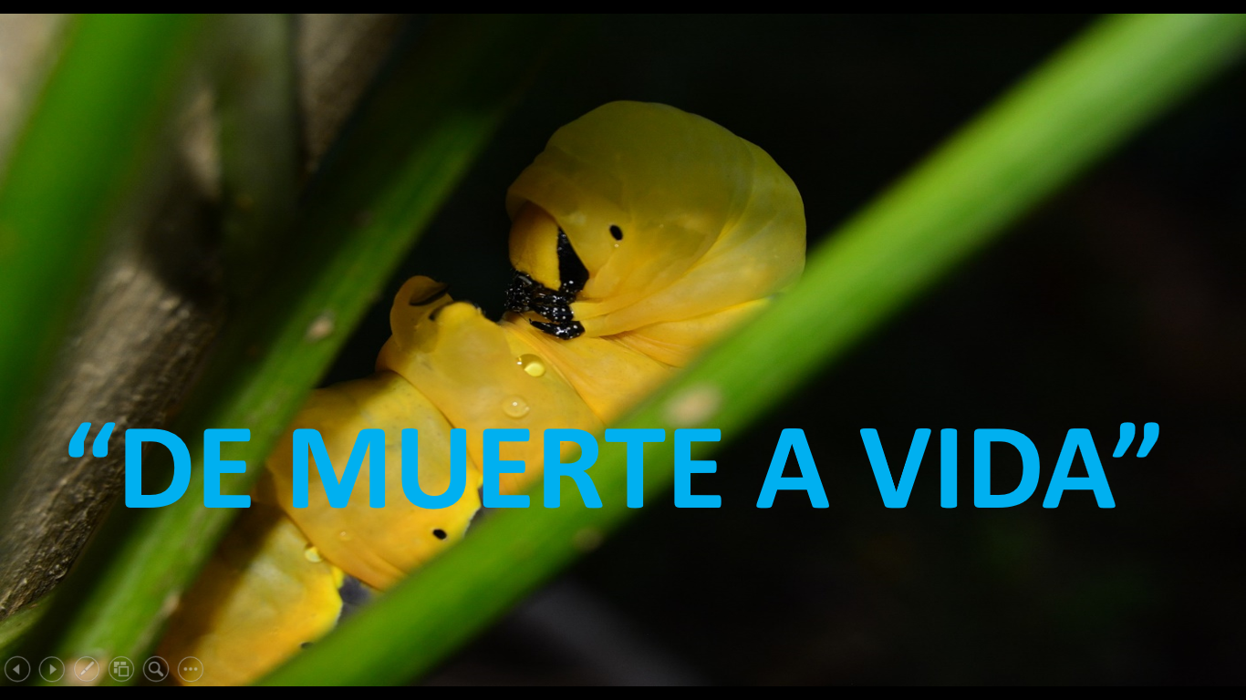 Captura de pantalla (2095).png