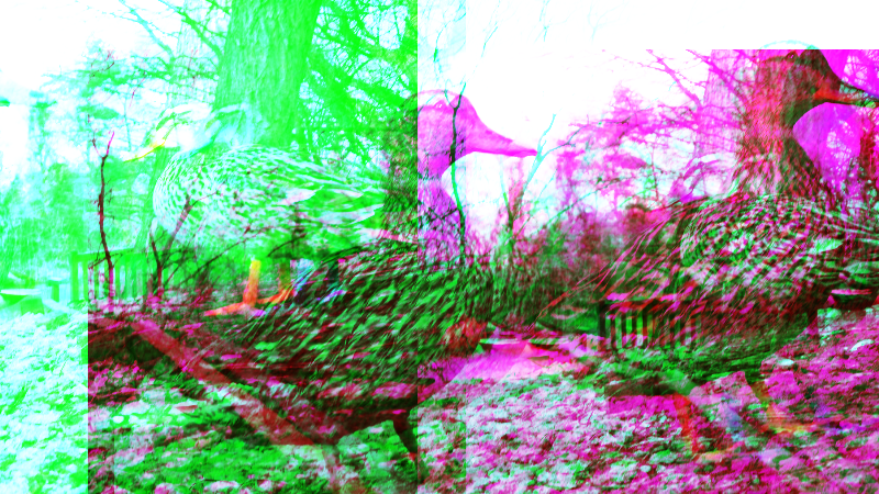 Quackers2 - 2019-03-09T160308.481 (2).png