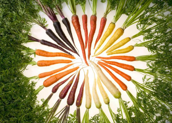 carrots_of_many_colors-usda-wiki_full_width(1).jpg