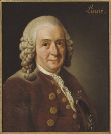 lossy-page1-220px-Carl_von_Linné,_1707-1778,_botanist,_professor_(Alexander_Roslin)_-_Nationalmuseum_-_15723.tif.jpg