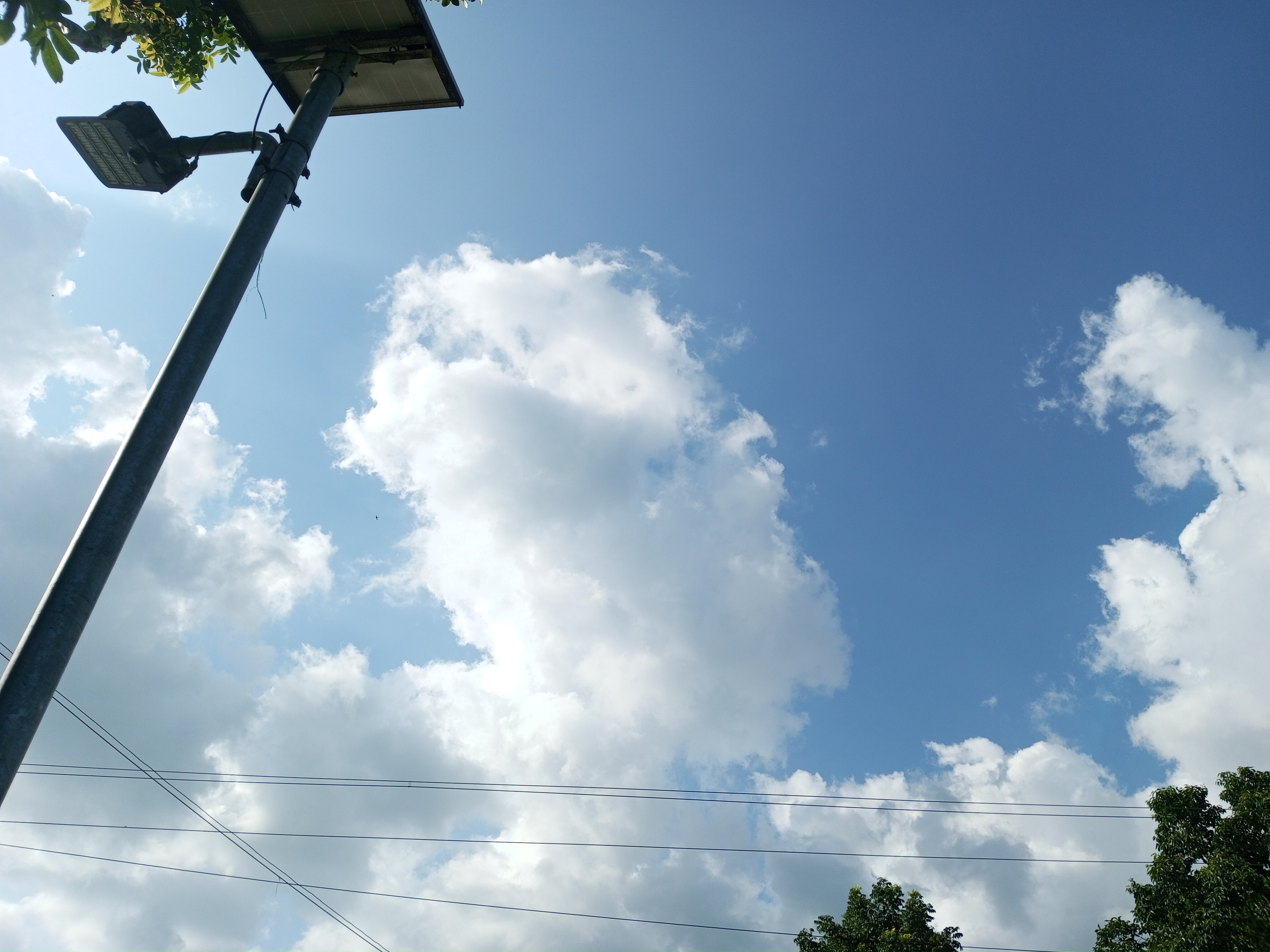 IMG_20230623_160416_791.jpg