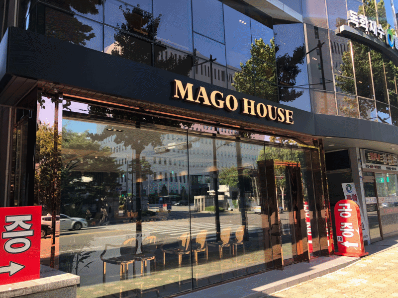 mago_1.gif