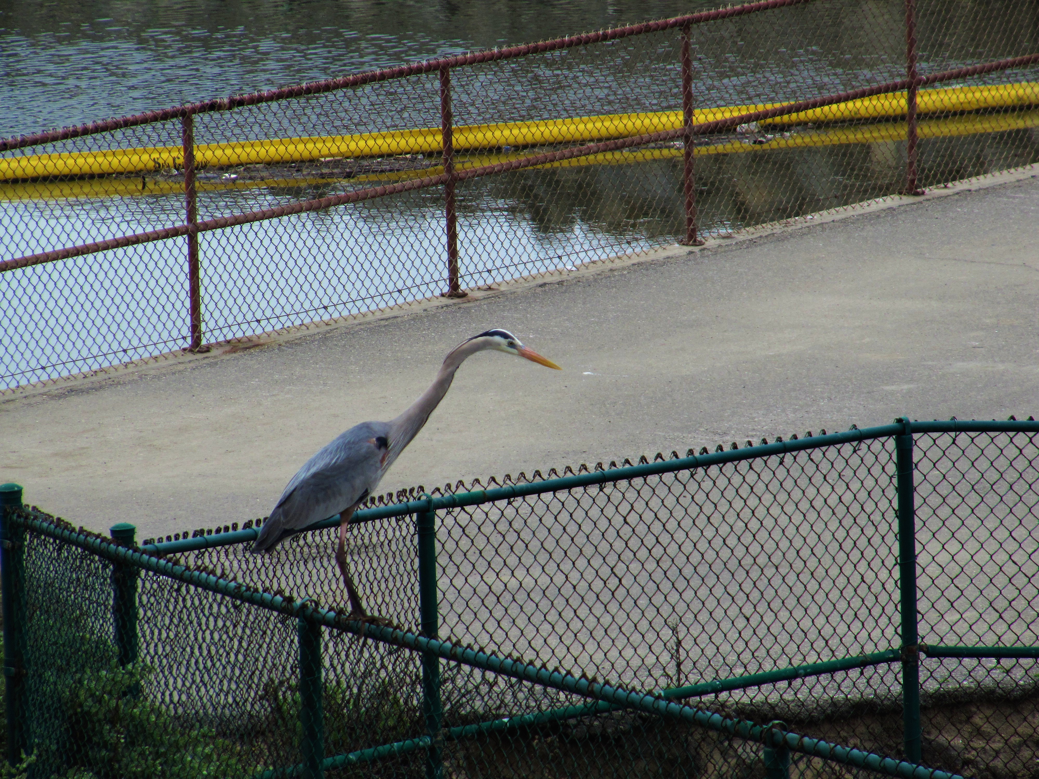 IMG_3621.JPG