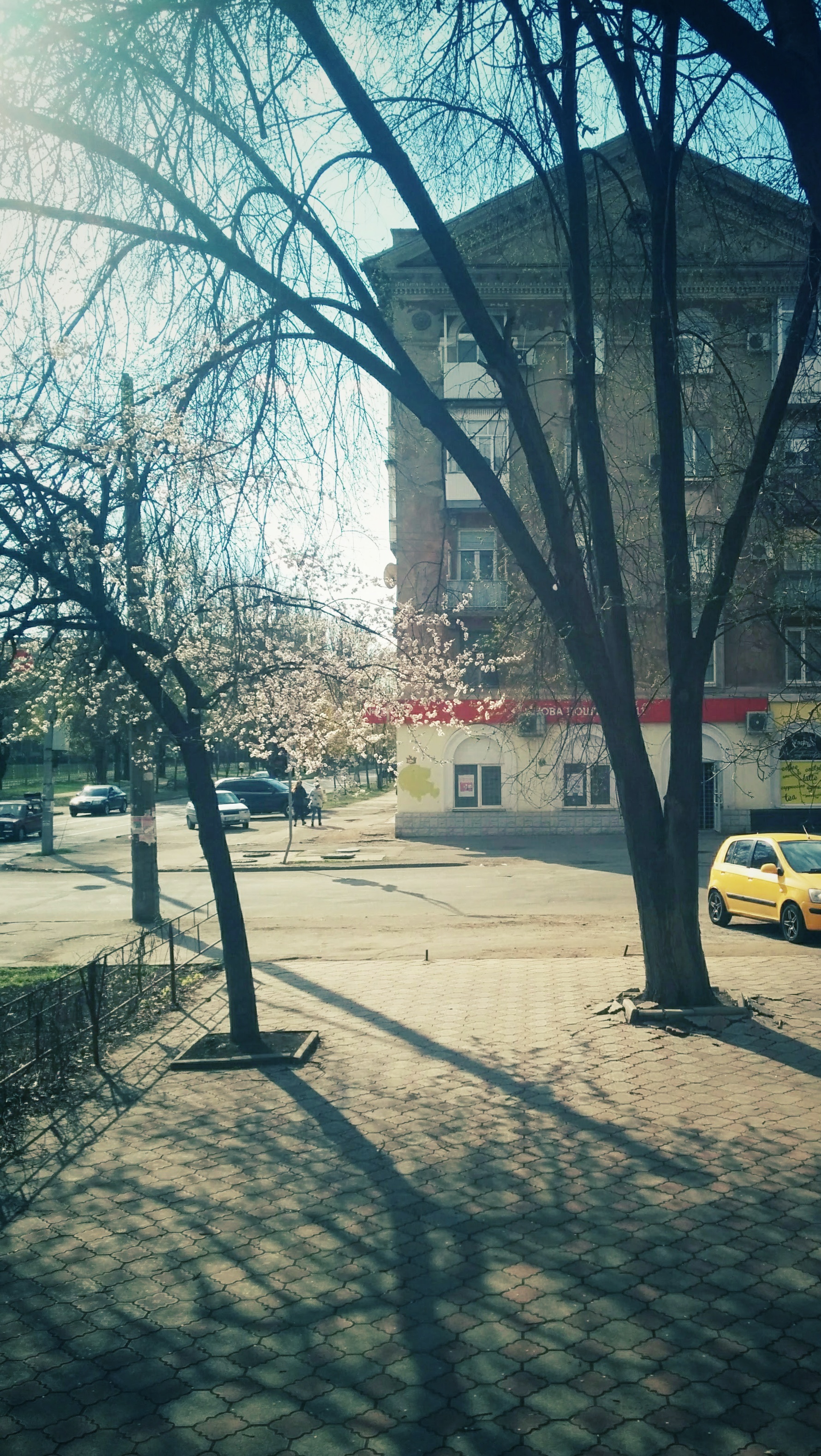 IMG_20190411_162844-01.jpeg