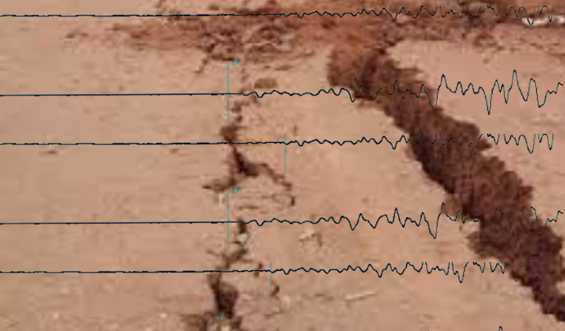 02.png