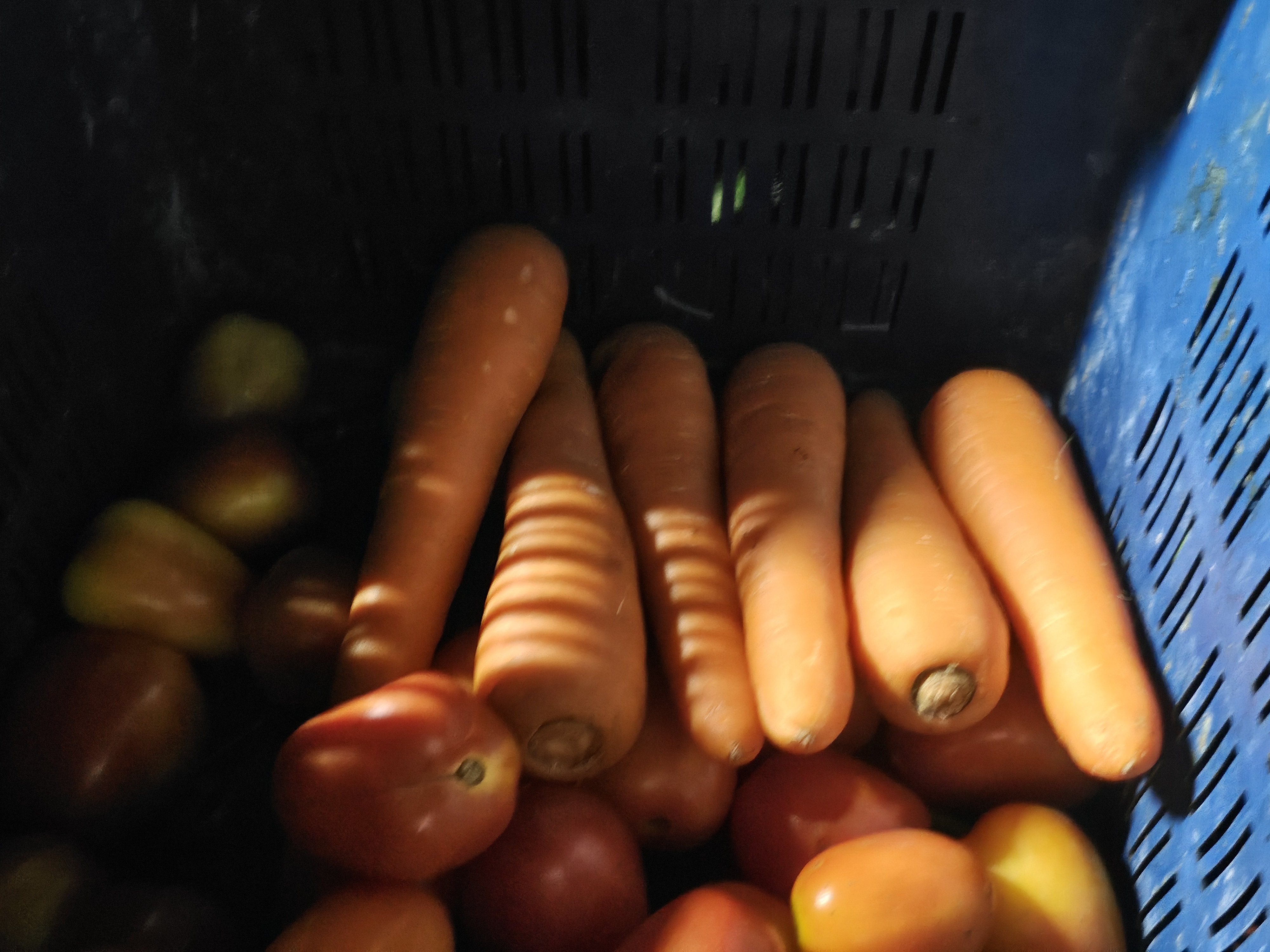 20250916_193251.jpg