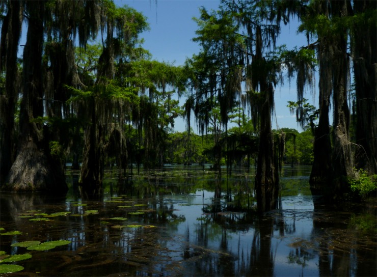 Top-American-Lakes-Caddo5-740x544.jpg