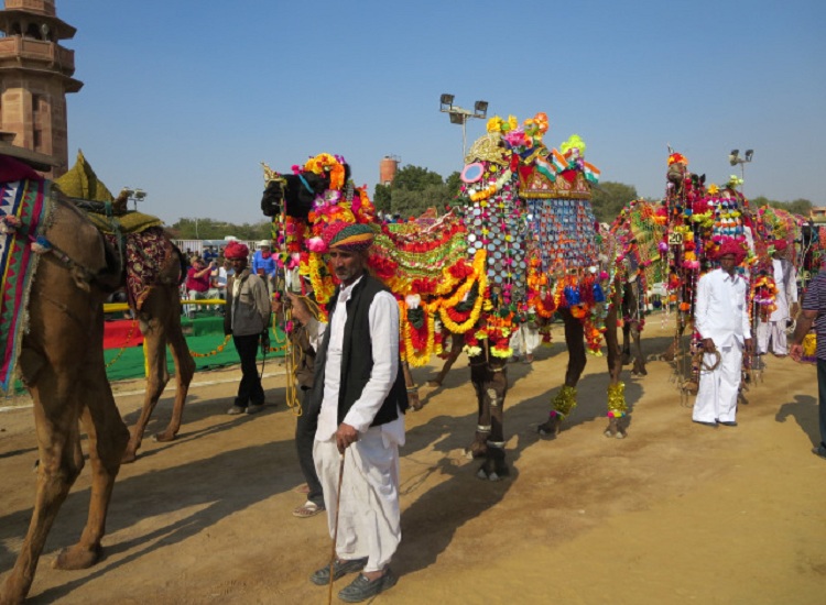 Bikaner-Camel-Festival.jpg