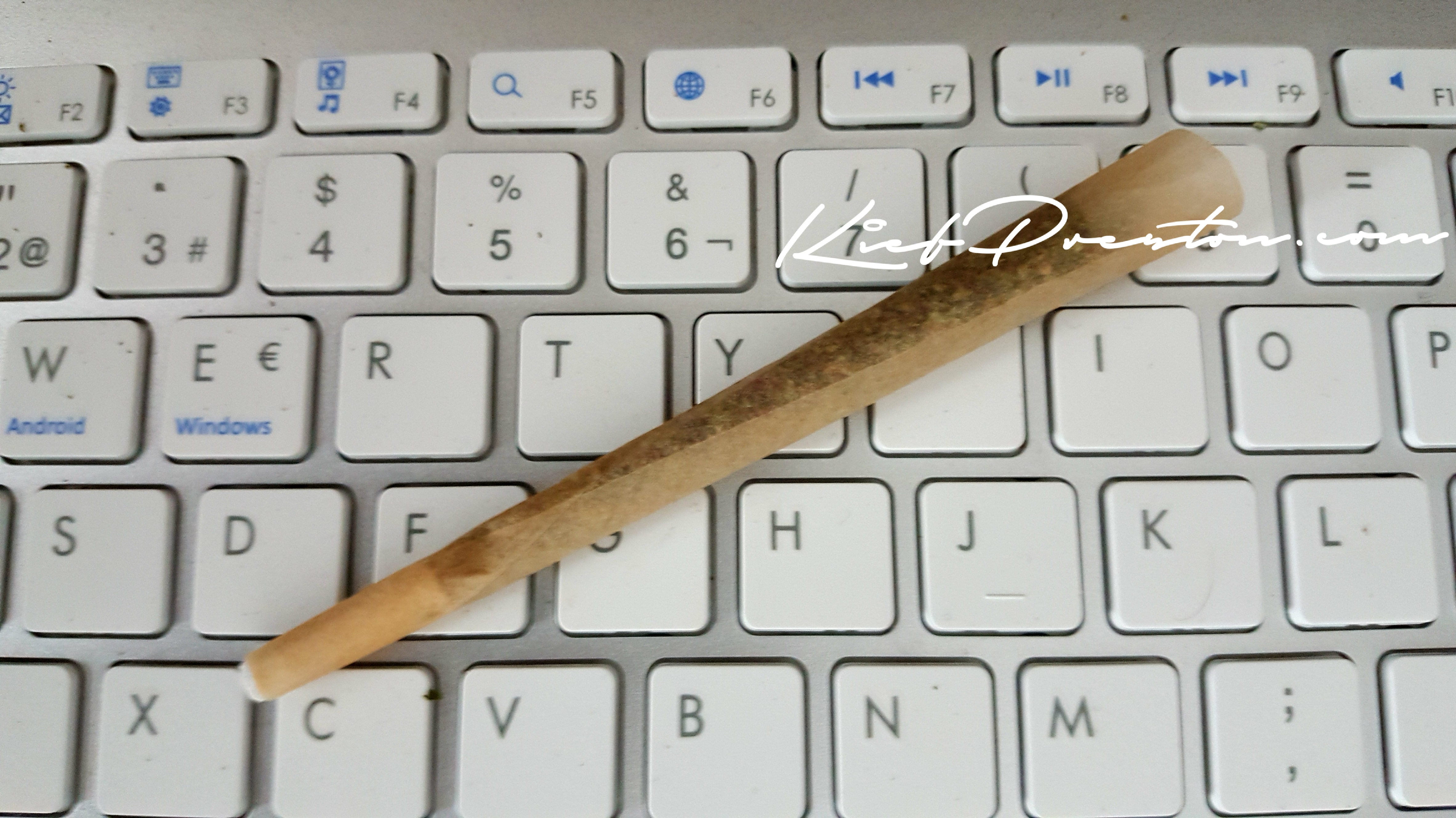 20180911_142353.jpg