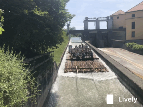 0903E63D-7287-47EA-A14D-43D9501A6C13.gif