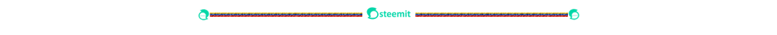 29103819_10214422572425604_2399589573916098560_n.png