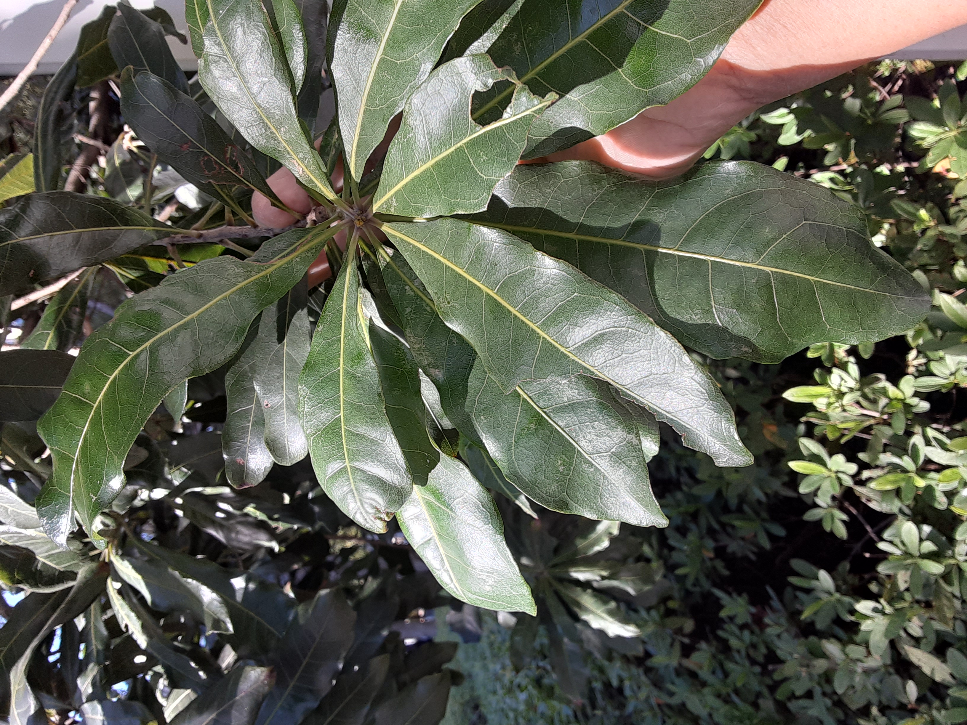 20240228_125710.jpg