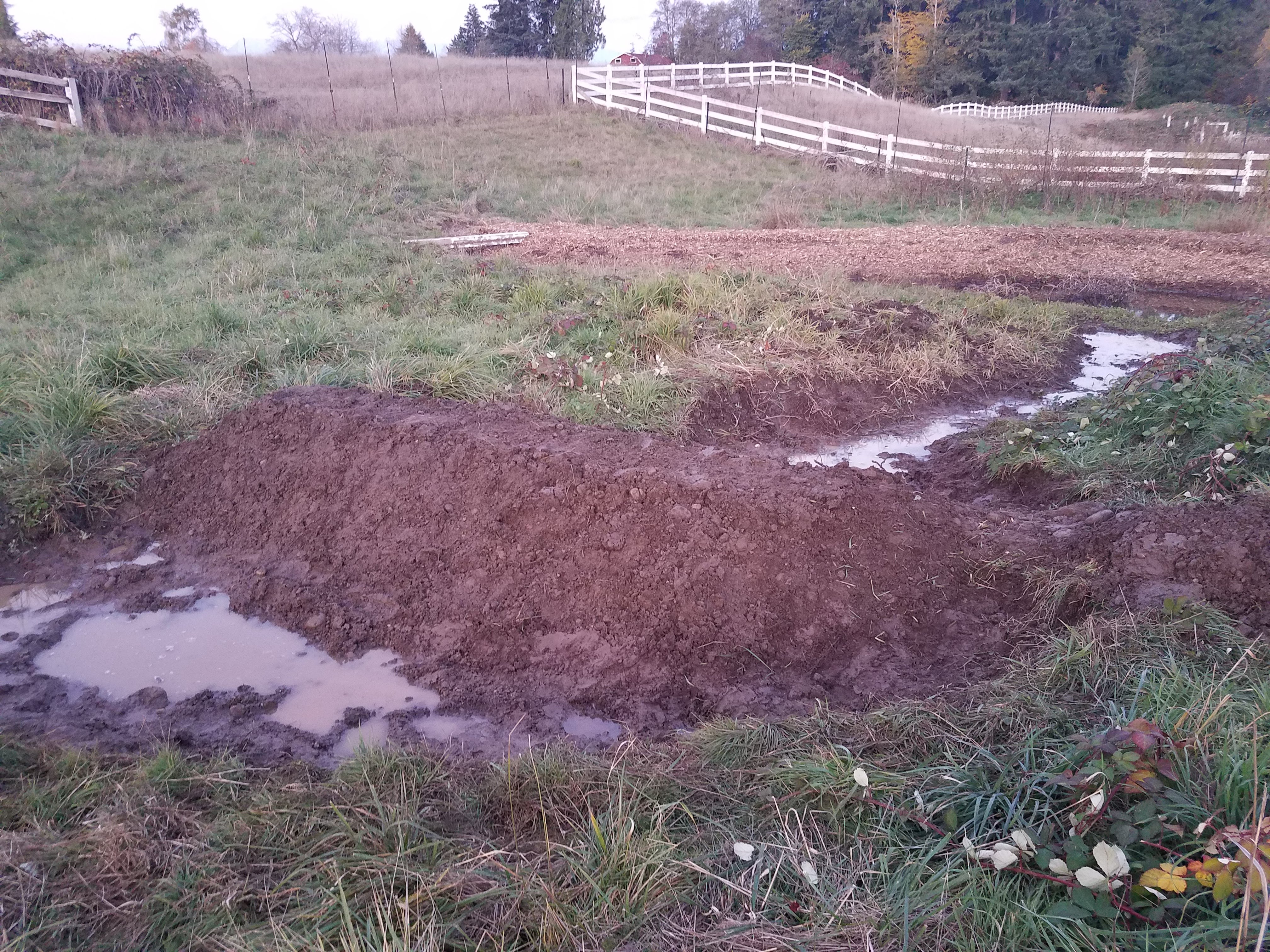 new-dam-pond.jpg