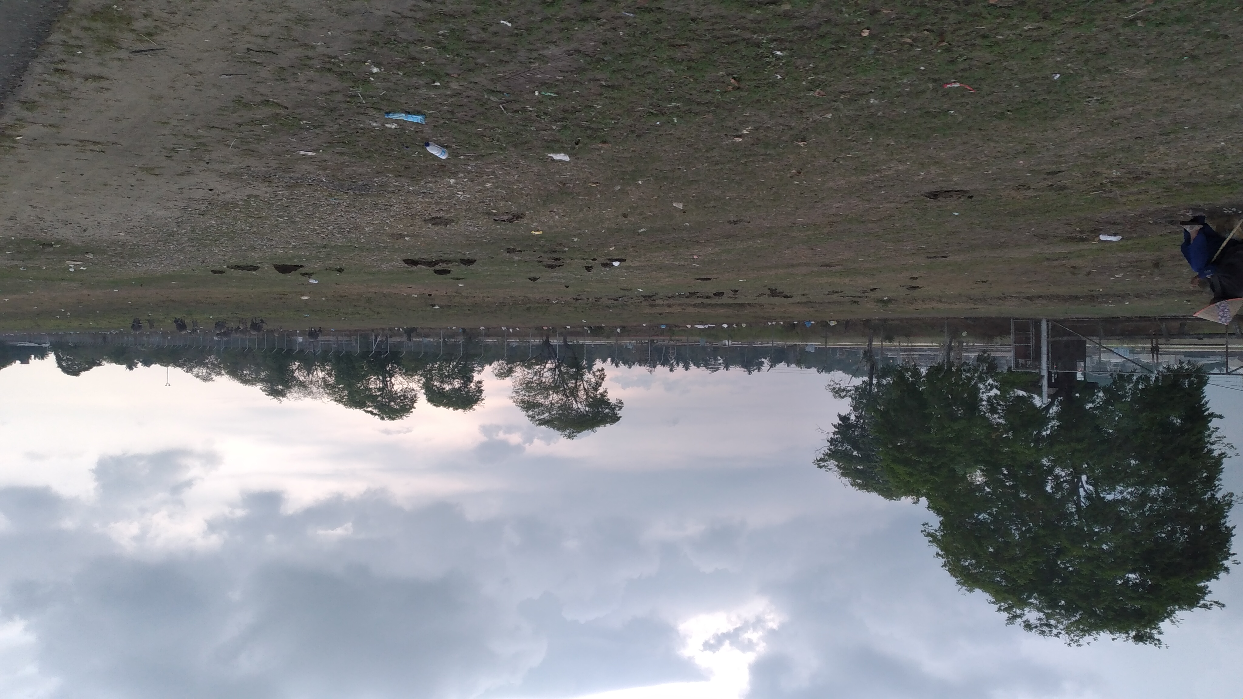 20240415_171035.jpg