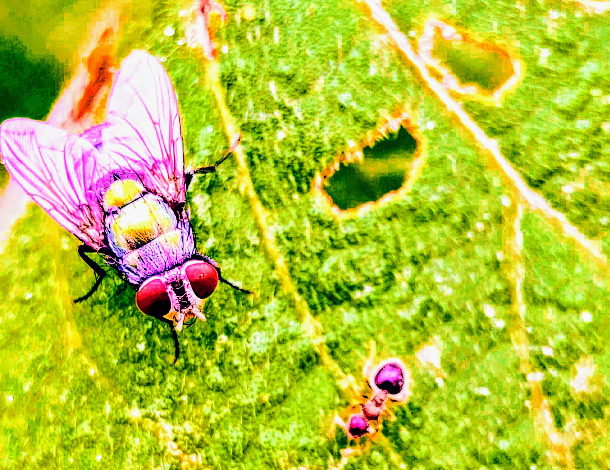 Picsart_23-10-03_20-46-10-174.jpg