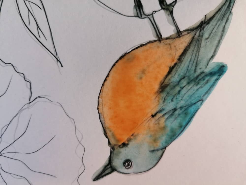 PAINTINGORANGEBIRD43 (8).jpeg