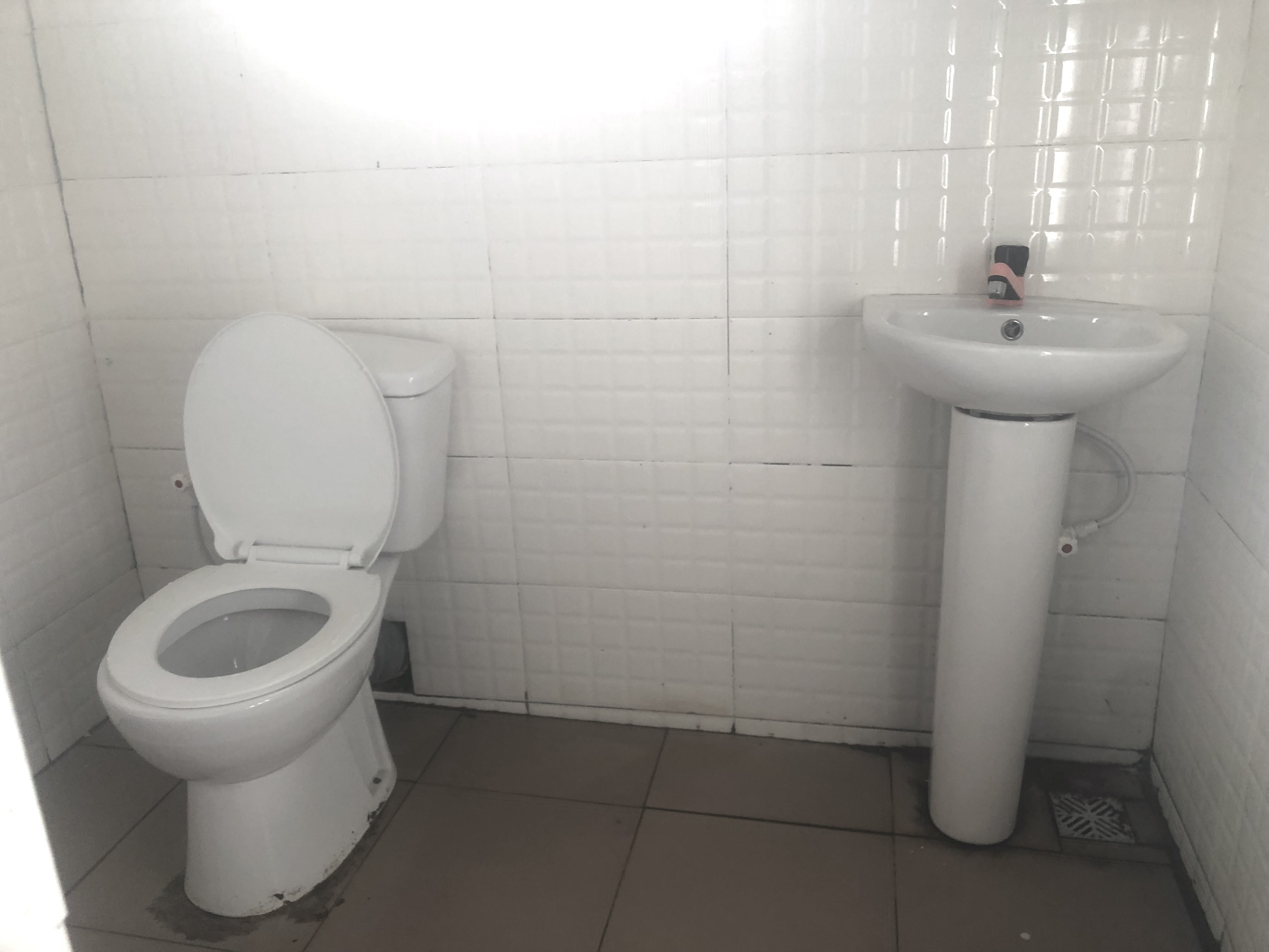 IMG_3318.jpeg