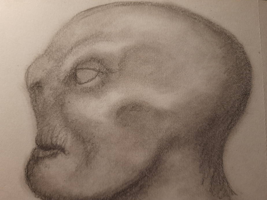 20260521_104002.jpg