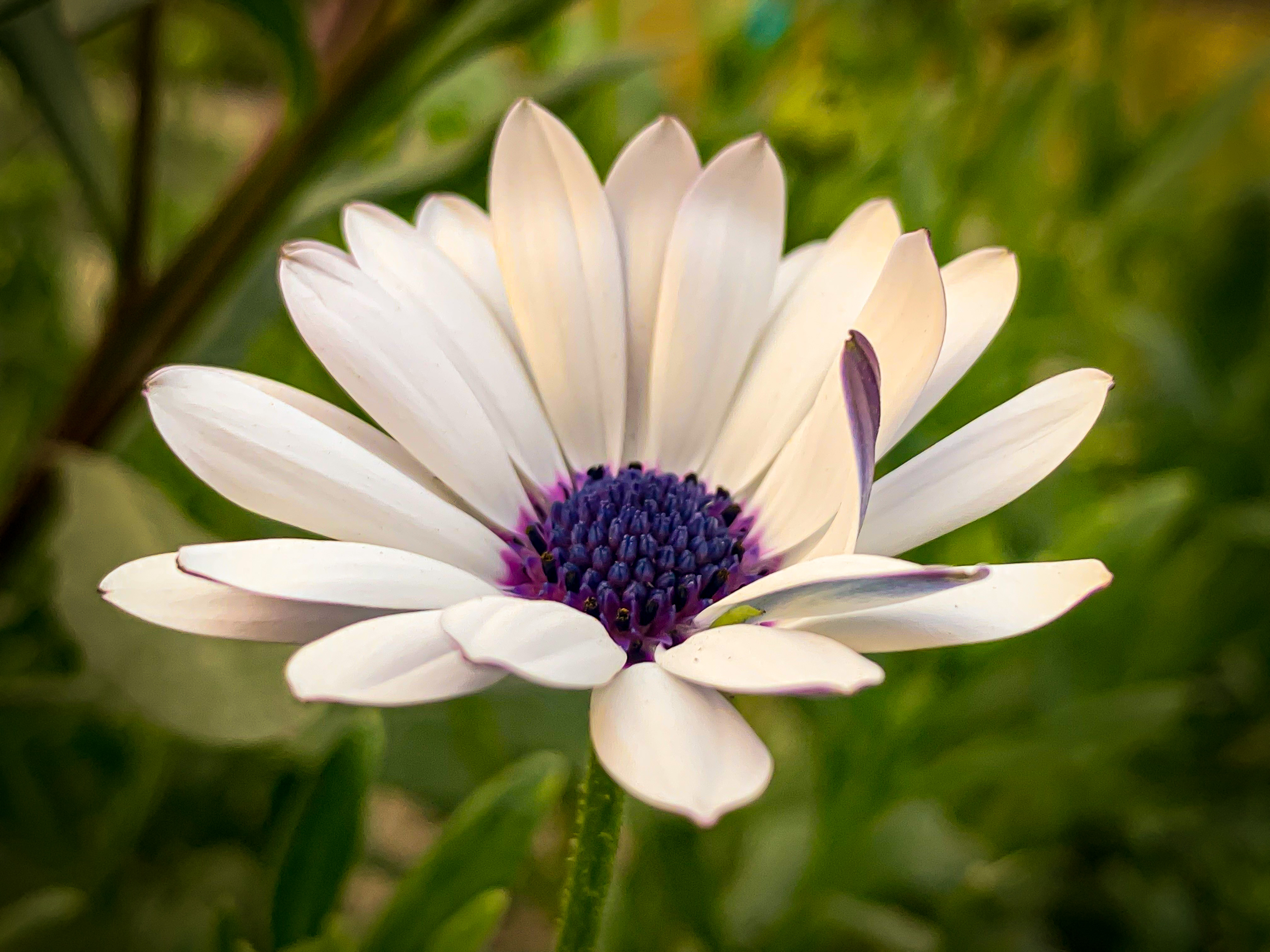 F5052DC4-1E0E-49D2-8F74-3E99110E6D16.jpeg