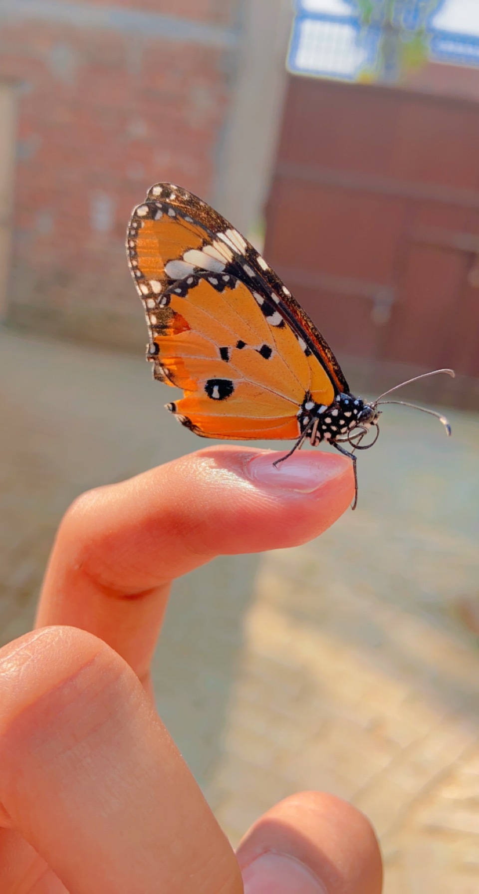 DF669768-5E11-4571-A0F1-6A06419709F6.jpeg
