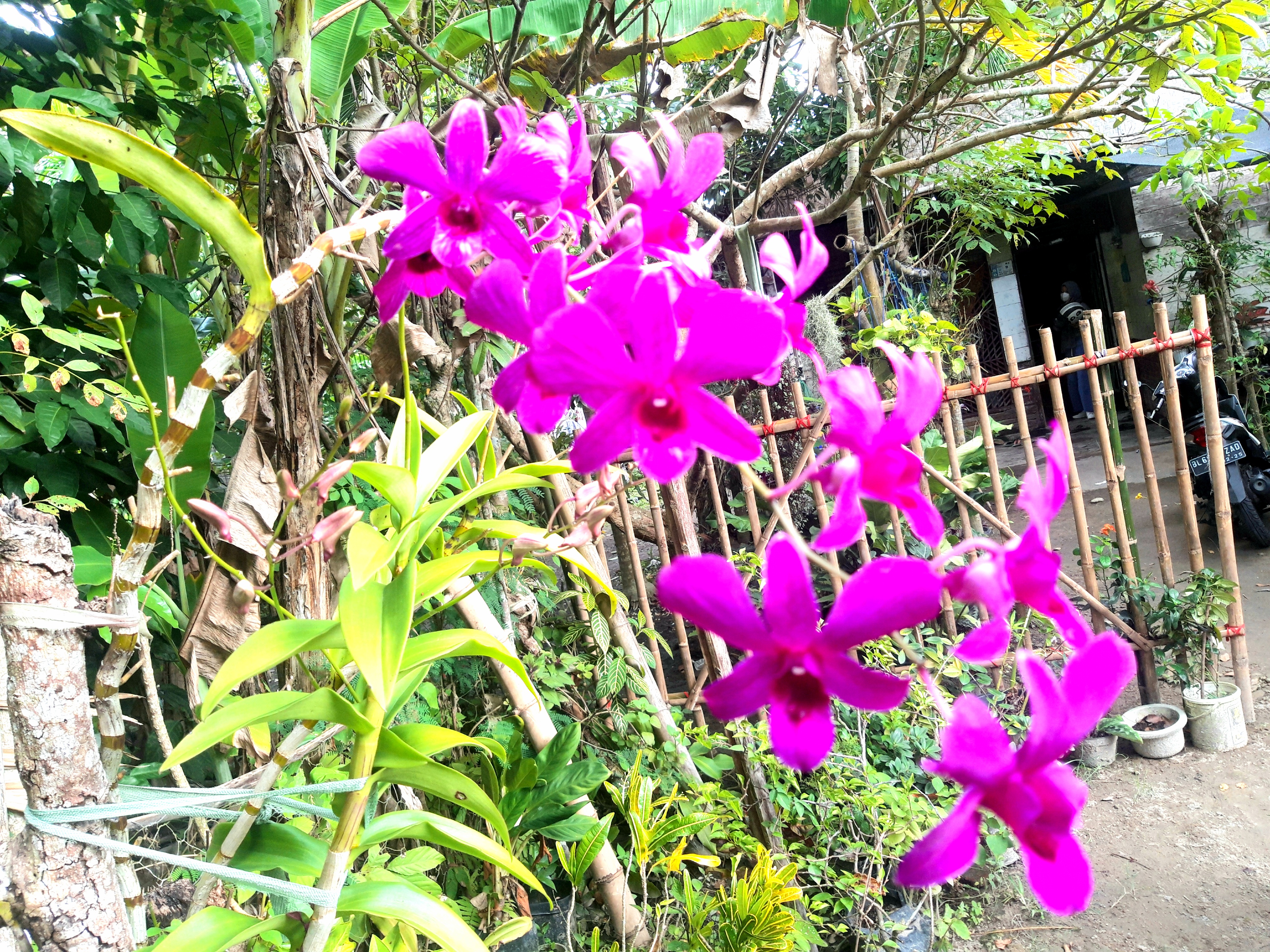 20220801_090054.jpg
