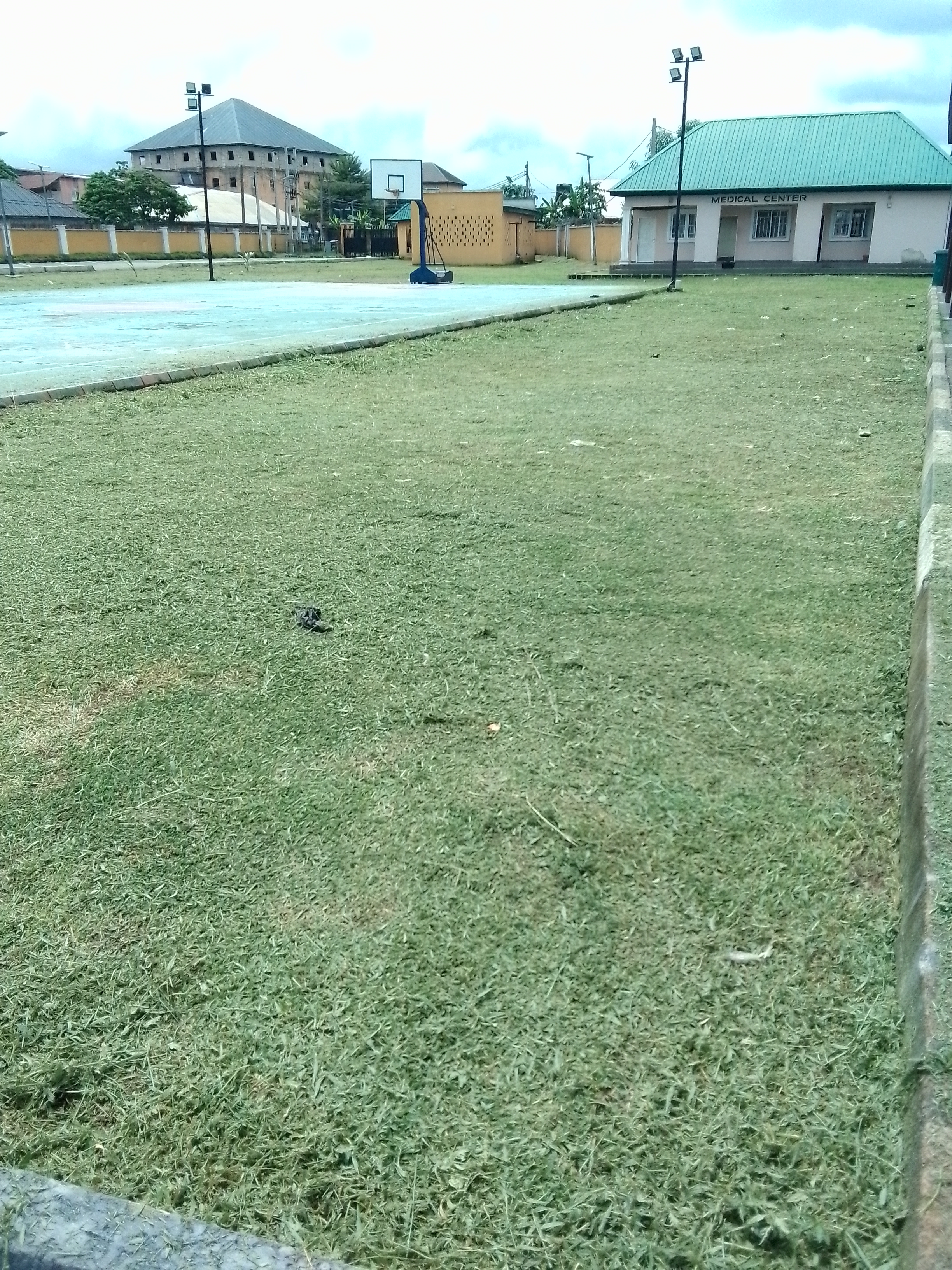 IMG_20240603_111742_732.jpg