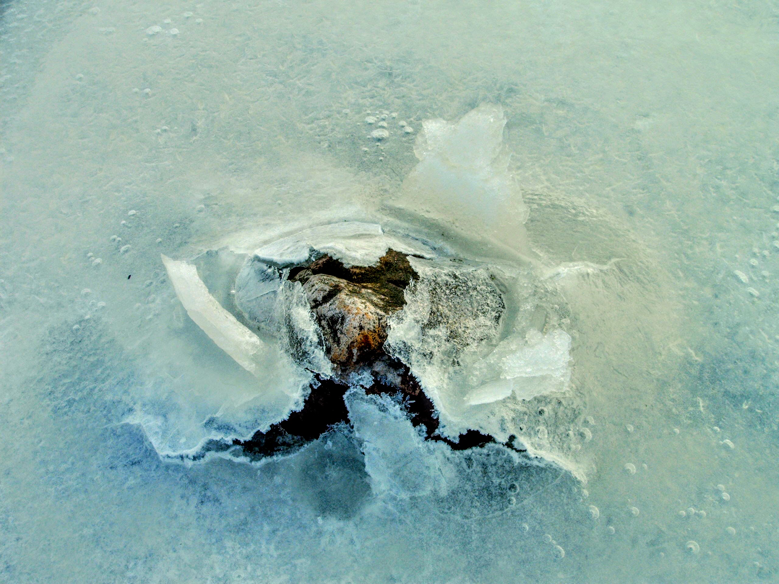 IMAG0010.jpg