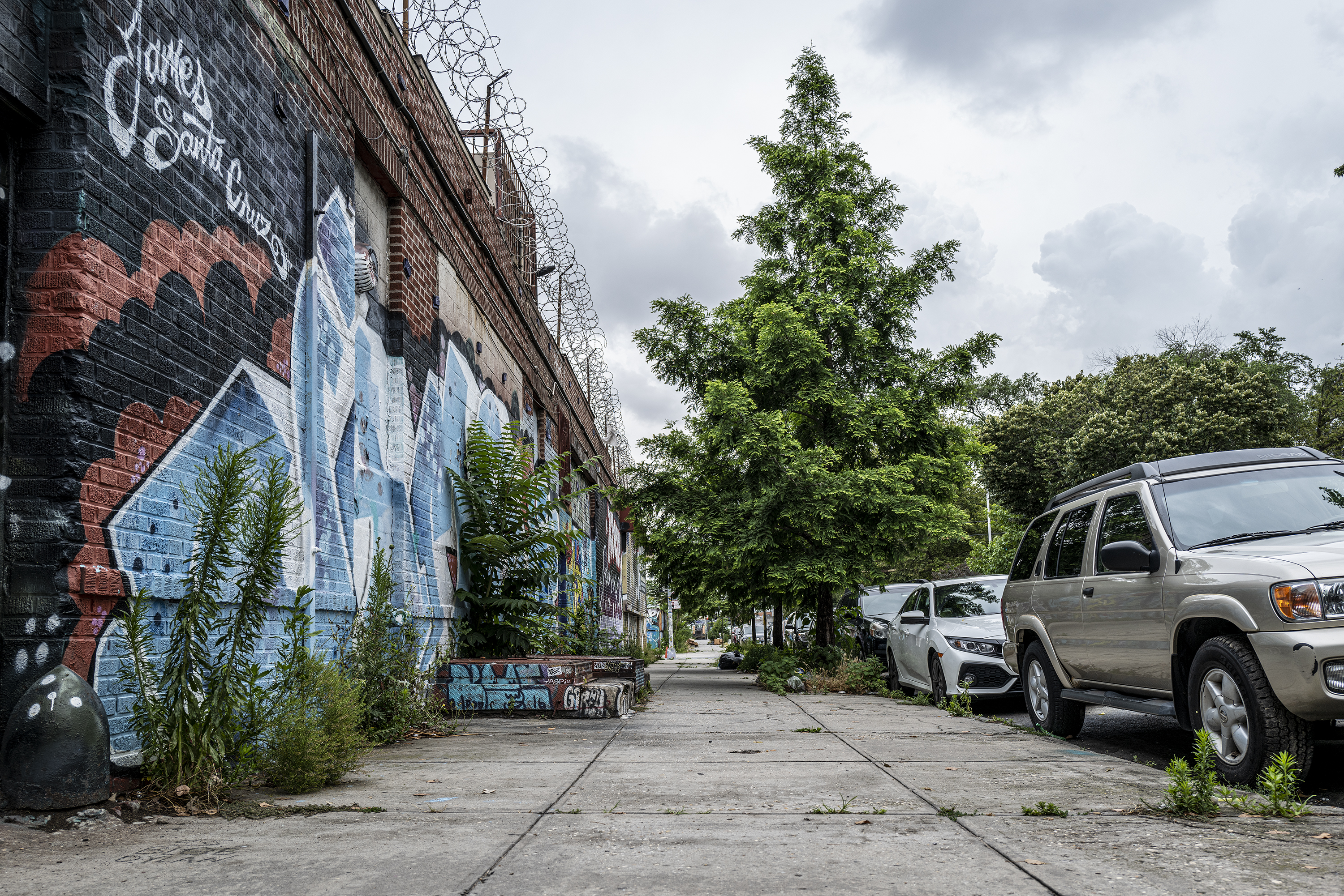 bushwick004.jpg