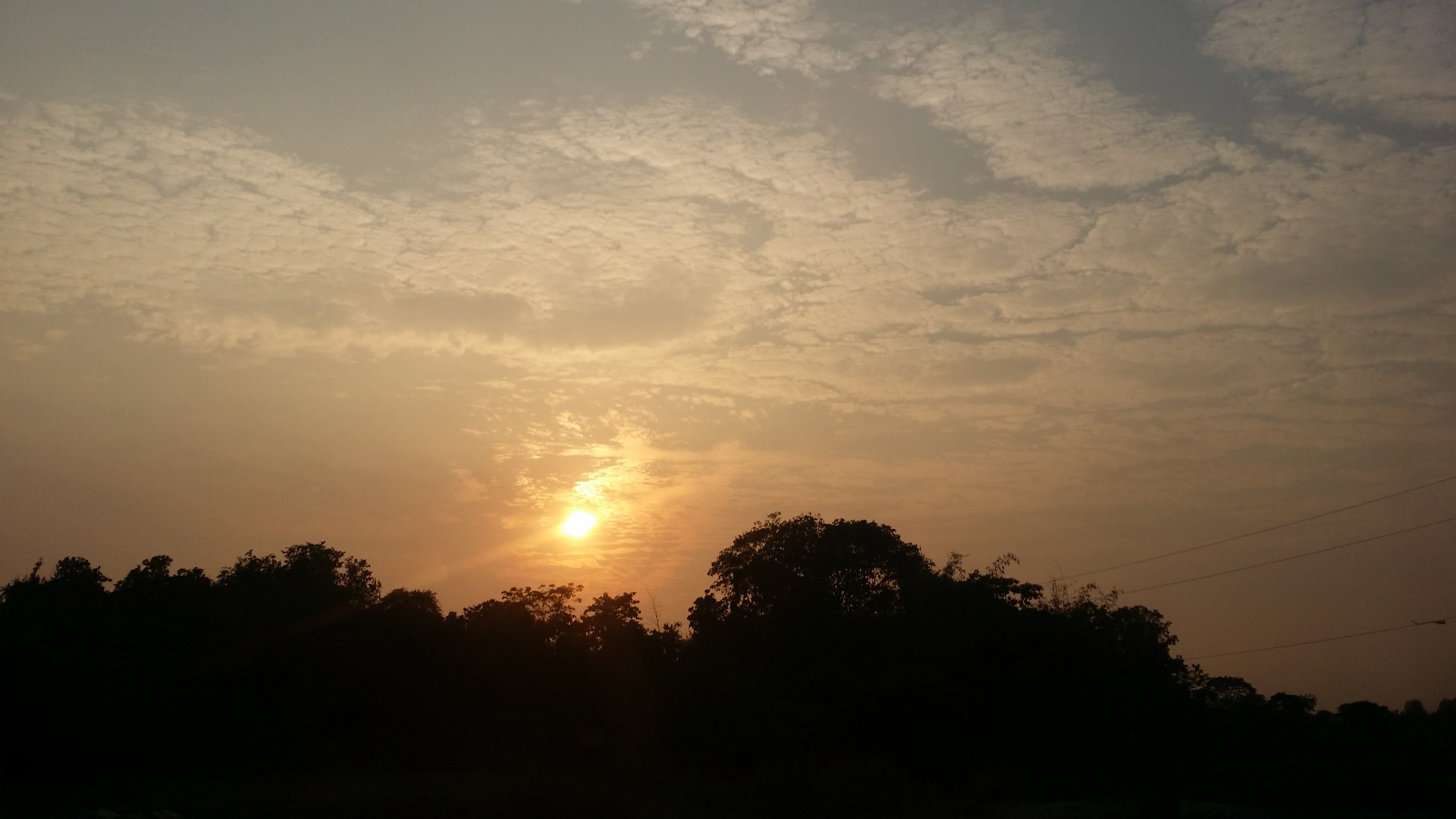 20191101_163841.jpg