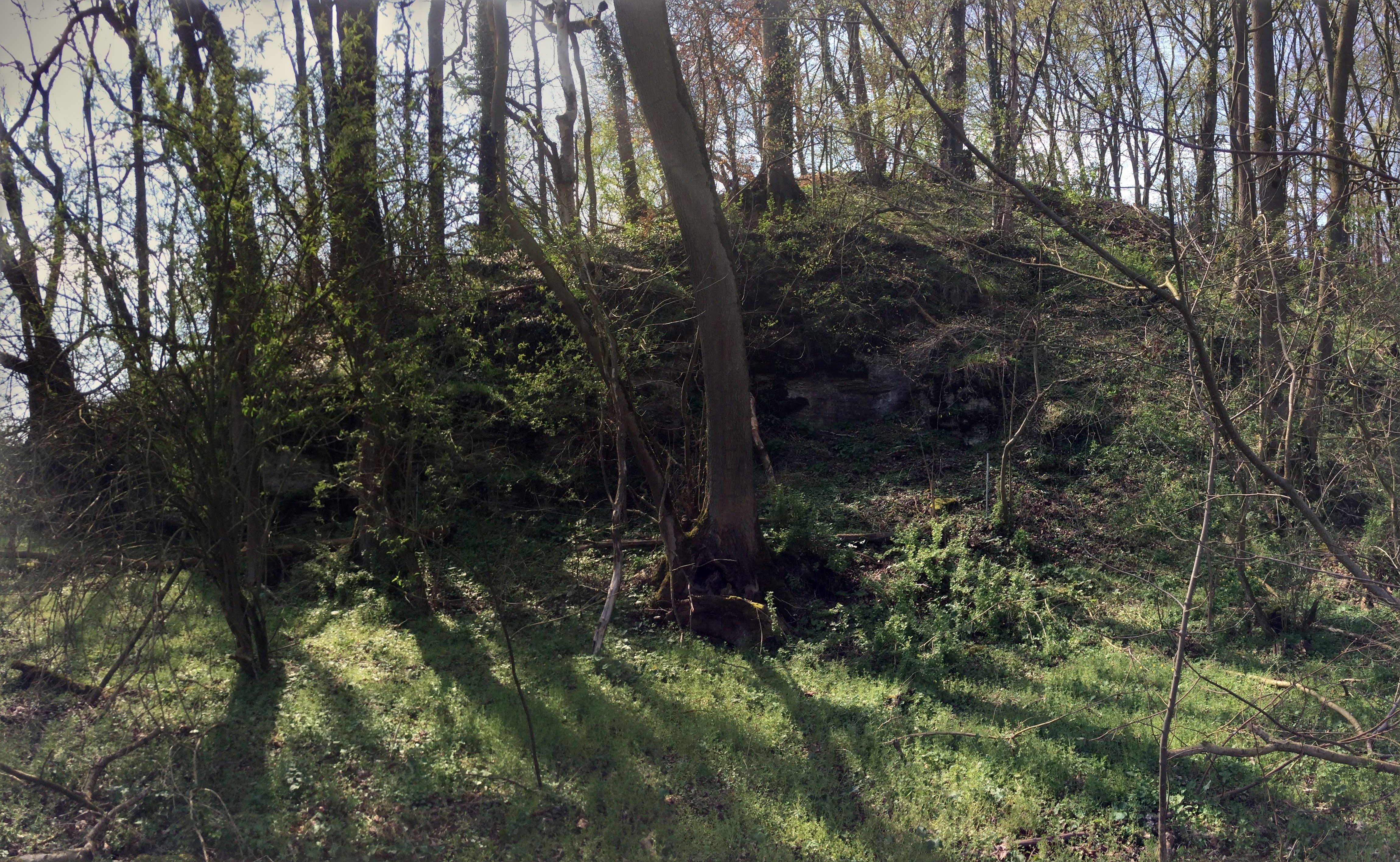 IMG_0280-PANO.jpg