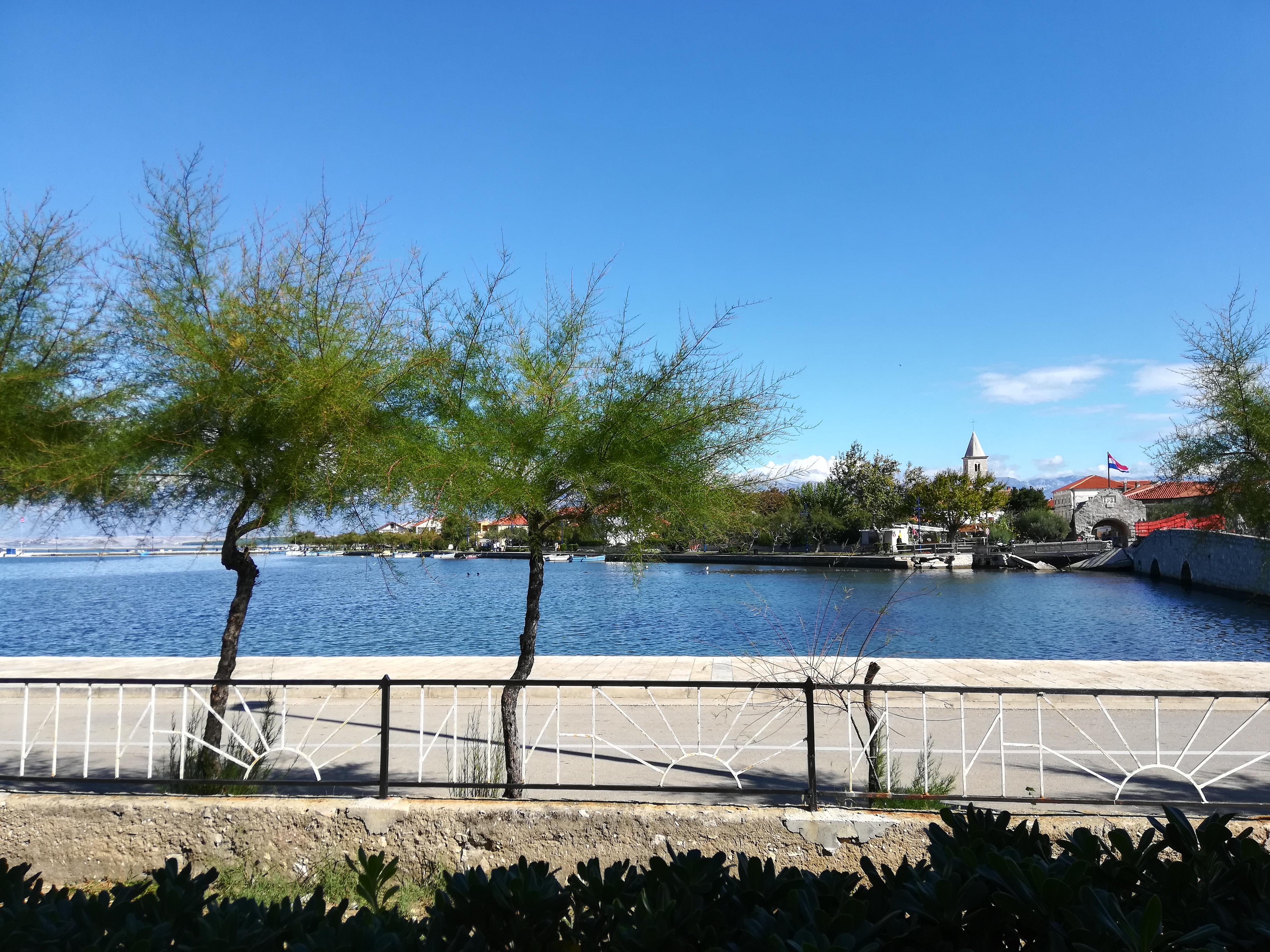 IMG_20181008_114435.jpg