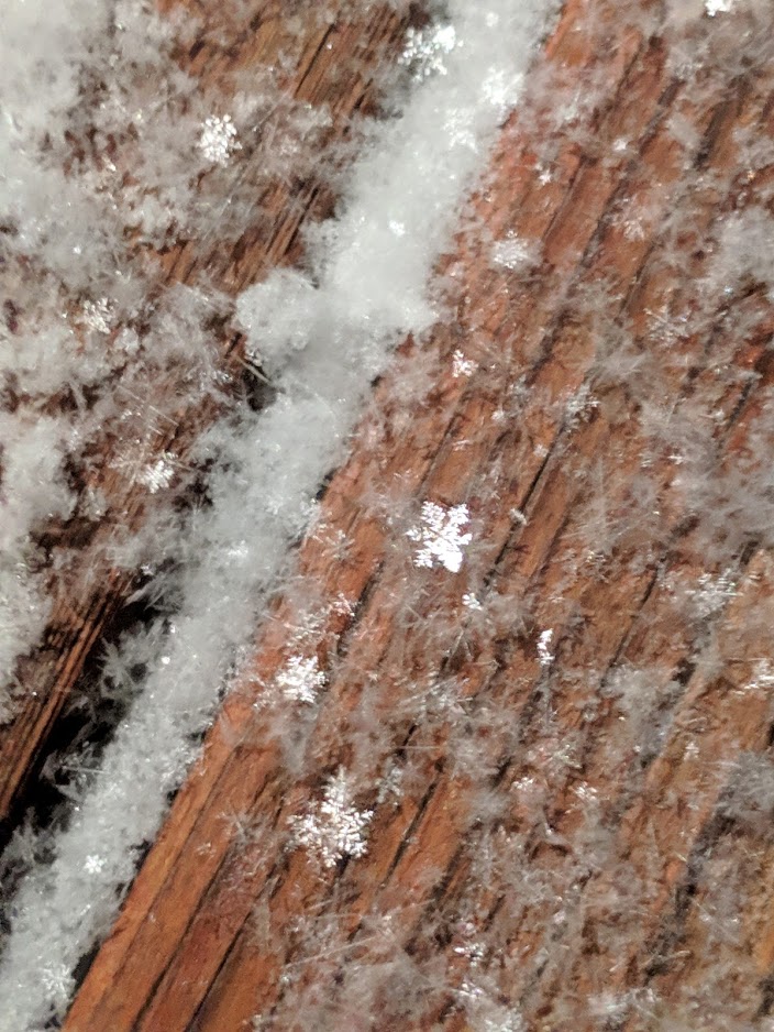 snowflakes1.jpg