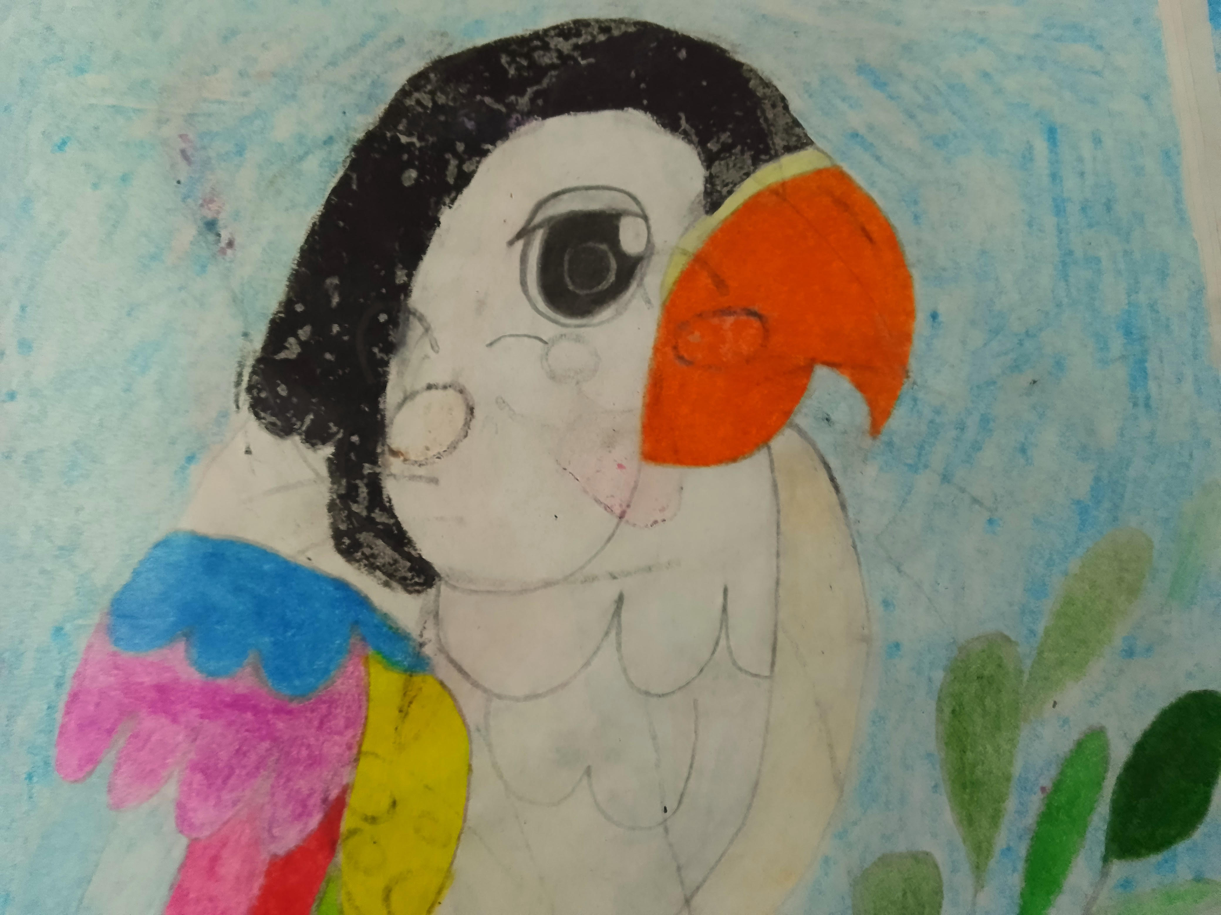 Image cover