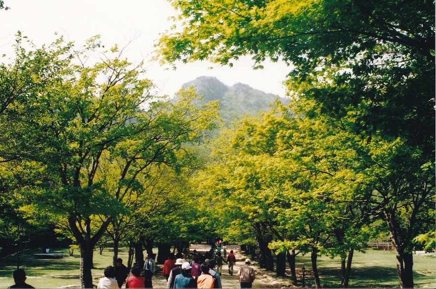내소사7.jpg